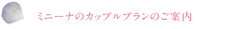 ミニーナのカップルプランのご案内