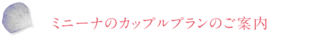 ミニーナのカップルプランのご案内